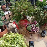 βαλεντίνη Πανσιόν Καρπενήσι
