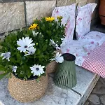 Πανσιόν βαλεντίνη 3*