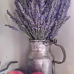 Πανσιόν βαλεντίνη