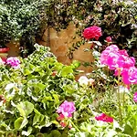 Πανσιόν βαλεντίνη 3*