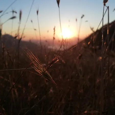 βαλεντίνη Πανσιόν