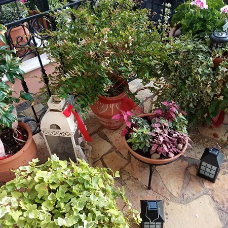 βαλεντίνη Πανσιόν Καρπενήσι