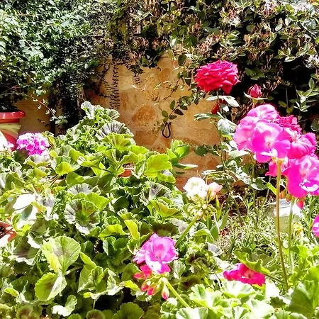 Πανσιόν βαλεντίνη 3*