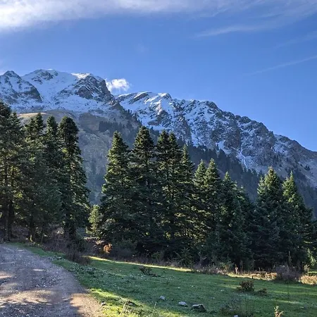 Πανσιόν βαλεντίνη