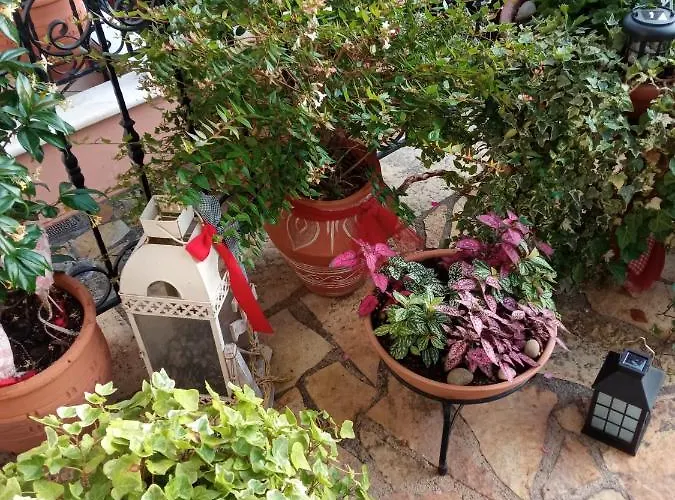 βαλεντίνη Πανσιόν Καρπενήσι