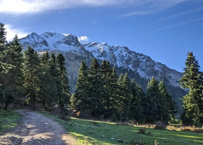Πανσιόν βαλεντίνη